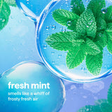 glass cleaner - mint, 28 fl oz