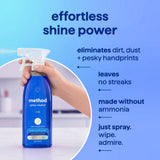 glass cleaner - mint, 28 fl oz
