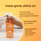 all-purpose cleaner - ginger yuzu, 28 fl oz