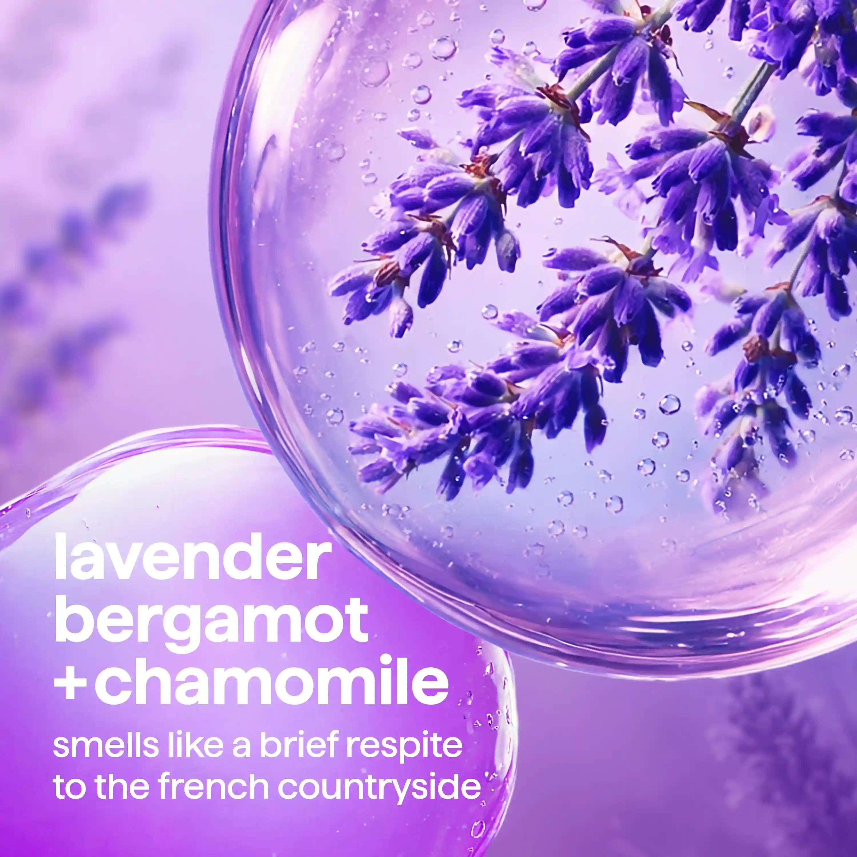 gel hand wash - french lavender, 12 fl oz