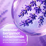 gel hand wash - french lavender, 12 fl oz