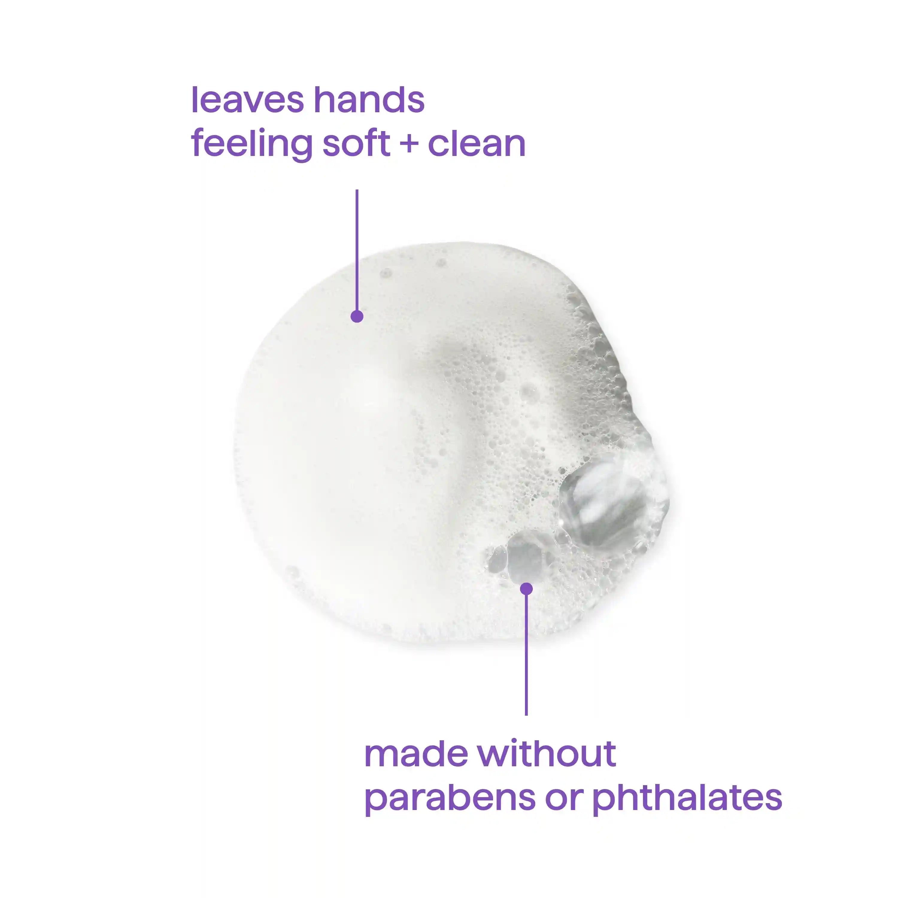 foaming hand wash - french lavender, 10 fl oz