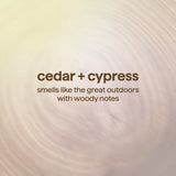 men's body wash - cedar + cypress, 18 fl oz