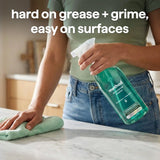 all-purpose cleaner - Eucalyptus + Rosemary, 28 fl oz