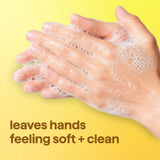 foaming hand wash - lemon mint, 10 fl oz