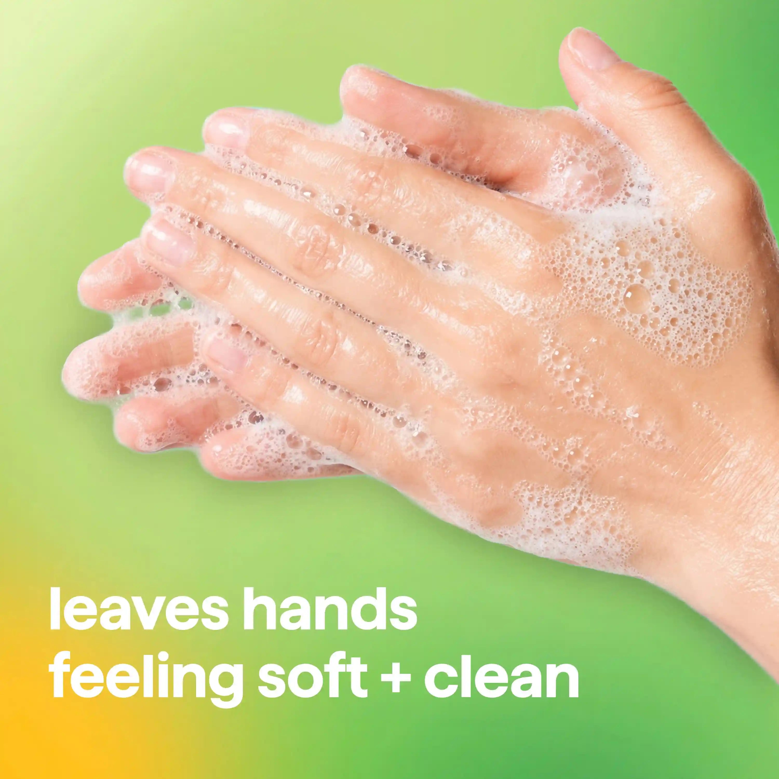 foaming hand wash - green tea + aloe, 10 fl oz