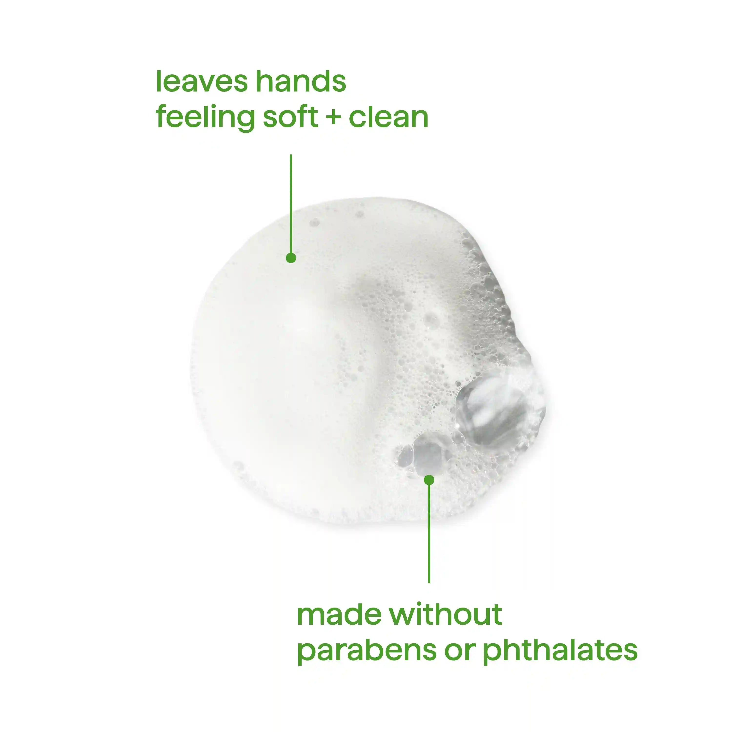 foaming hand wash - green tea + aloe, 10 fl oz