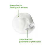 foaming hand wash - green tea + aloe, 10 fl oz