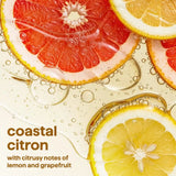 super shine foaming dish spray - coastal citron, 16 fl oz