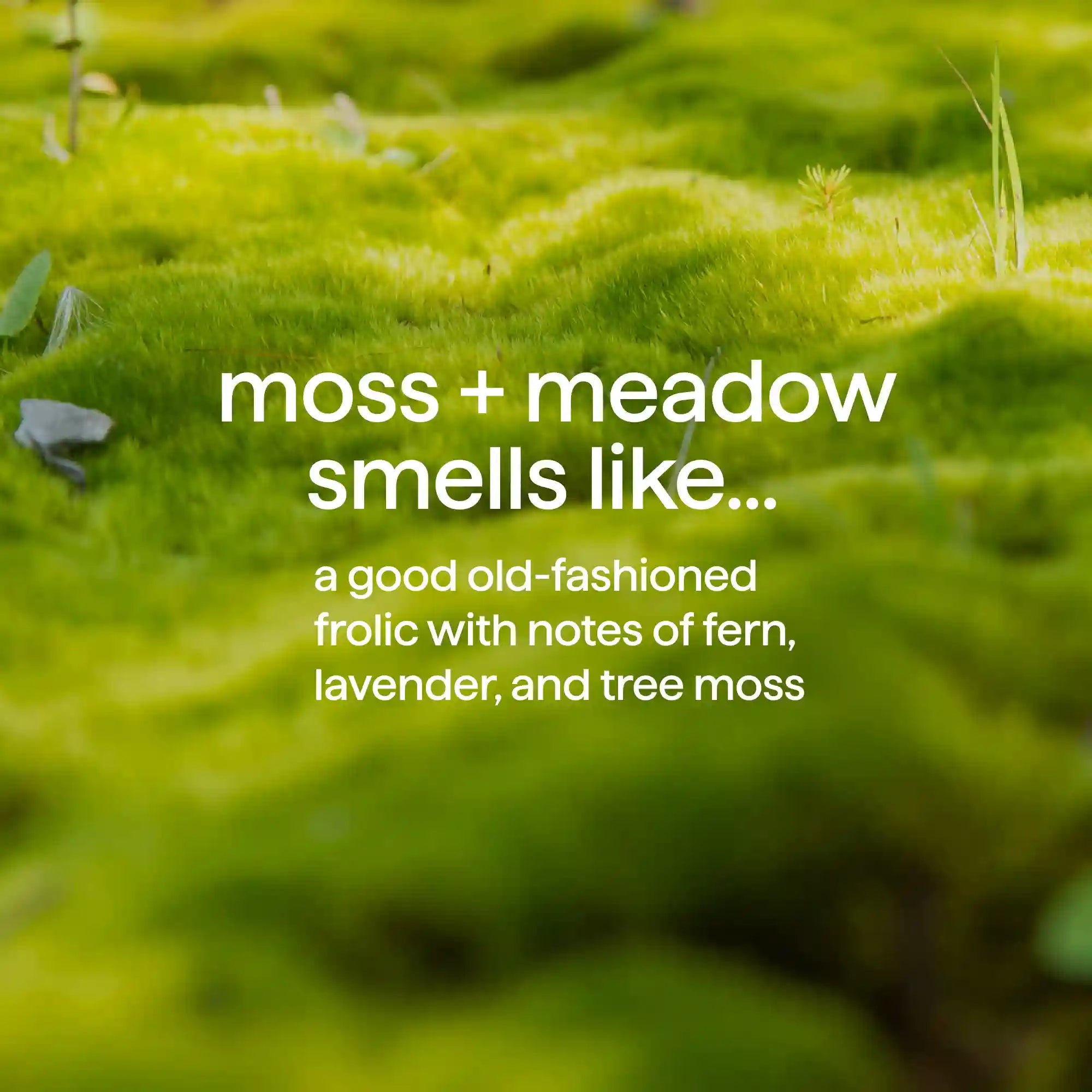 men's body wash - moss + meadow, 18 fl oz
