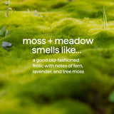 men's body wash - moss + meadow, 18 fl oz